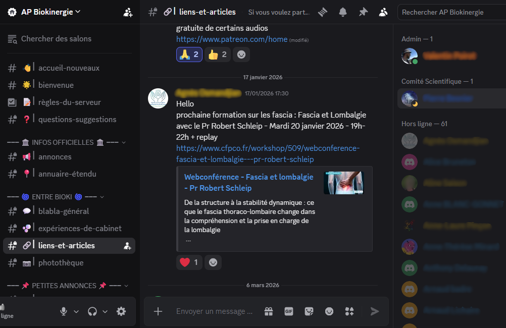 Capture d'écran du serveur Discord de l'Association des Praticiens en Biokinergie.